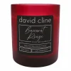 Baccarat Rouge Scented Candle