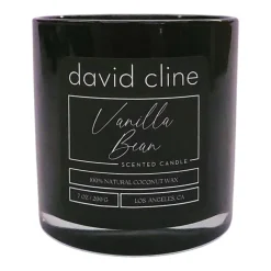 Vanilla Bean Scented Candle