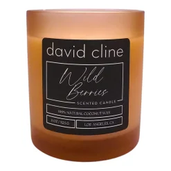 Wild Berries Scented Candle